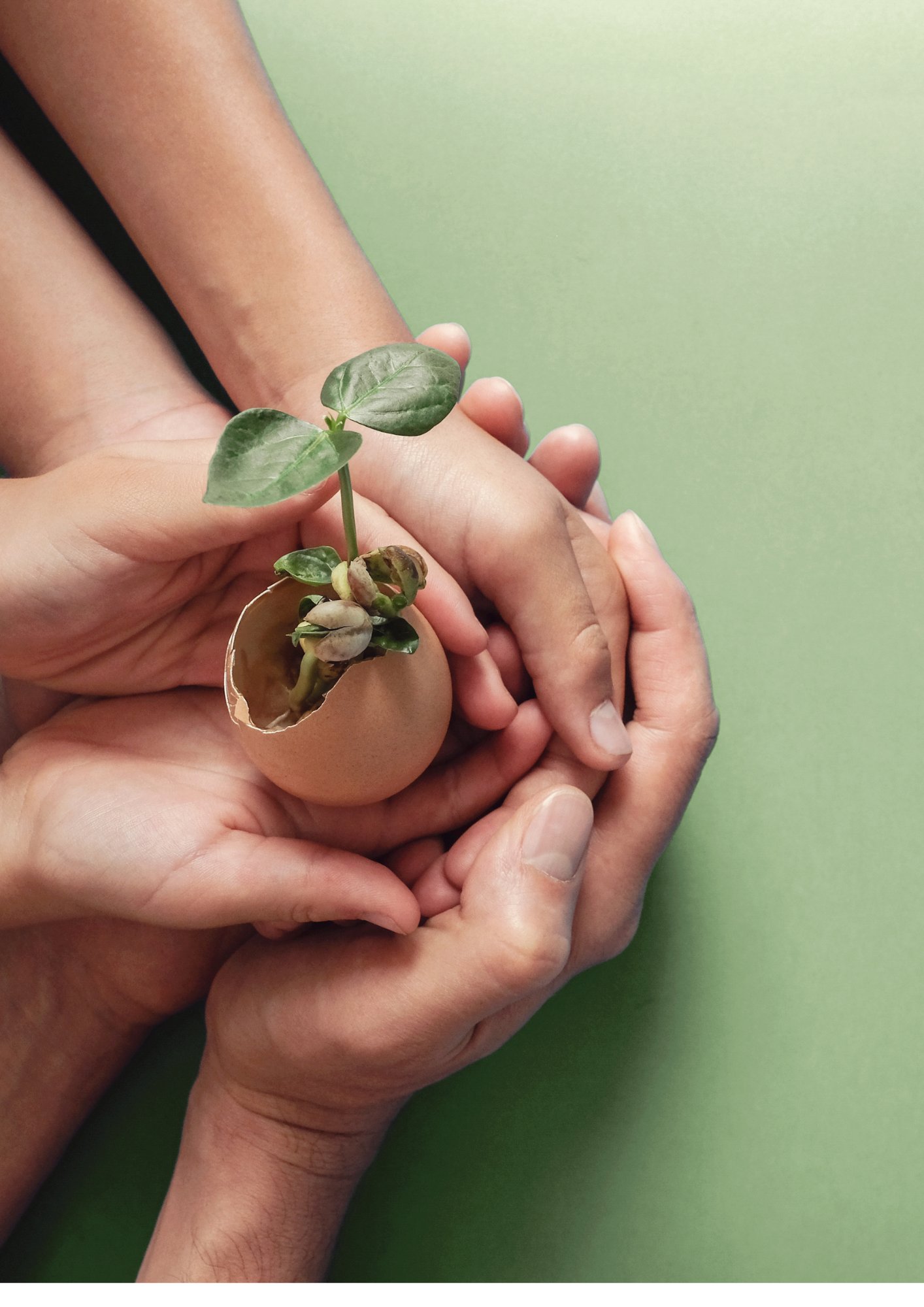 Mains tenant une plante dans un œuf cassé