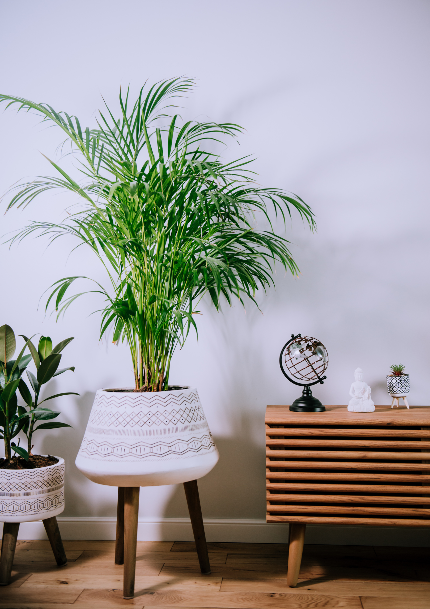 Plante en pot dans un lieu de travail