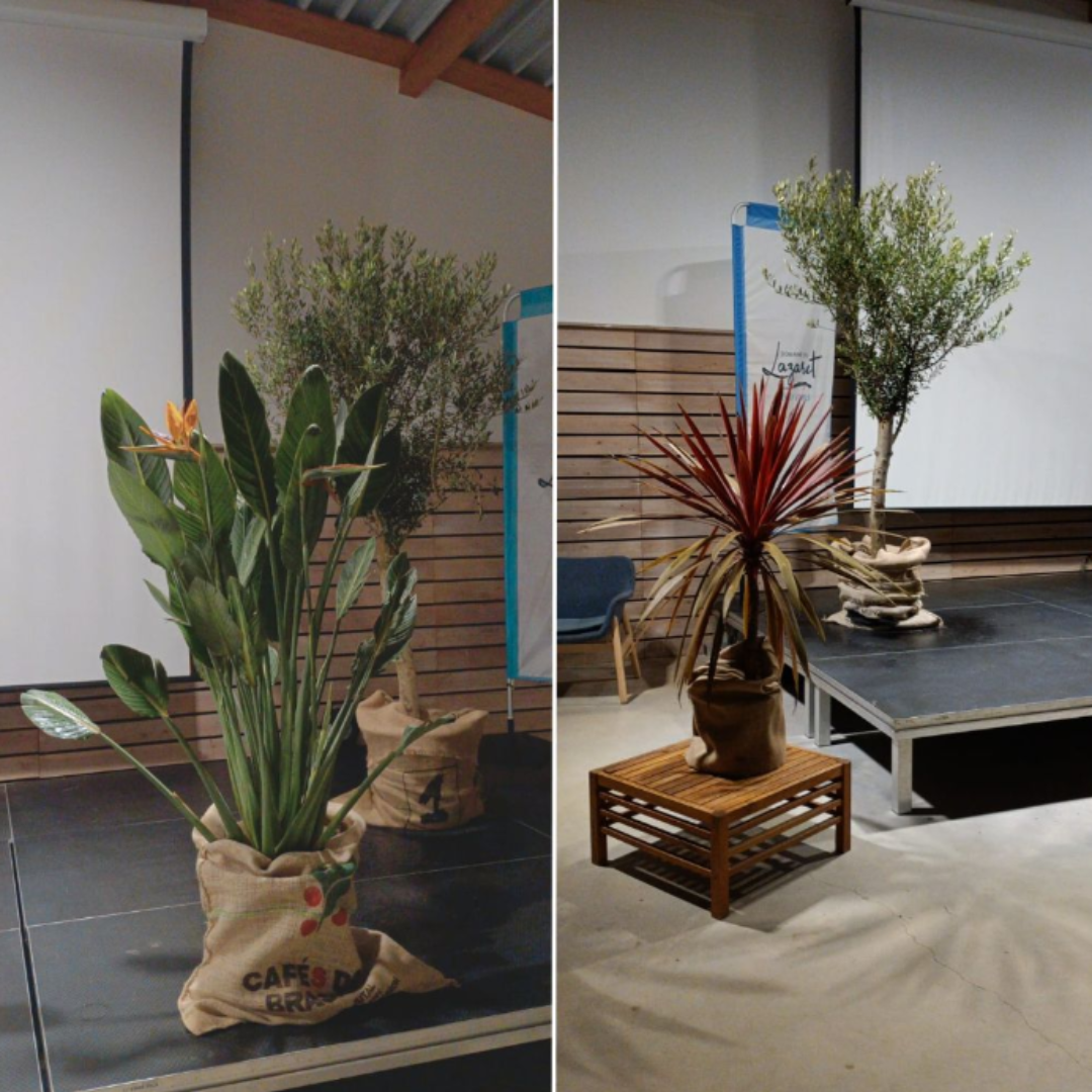Evénement professionnel de La CPAM Hérault décorer avec des plantes en pots