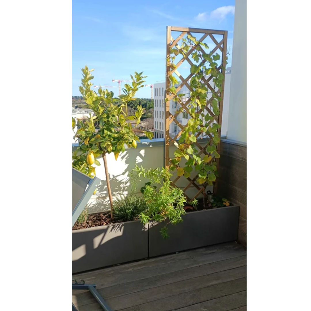 Espaces extérieur d'entreprise décorer avec des plantes