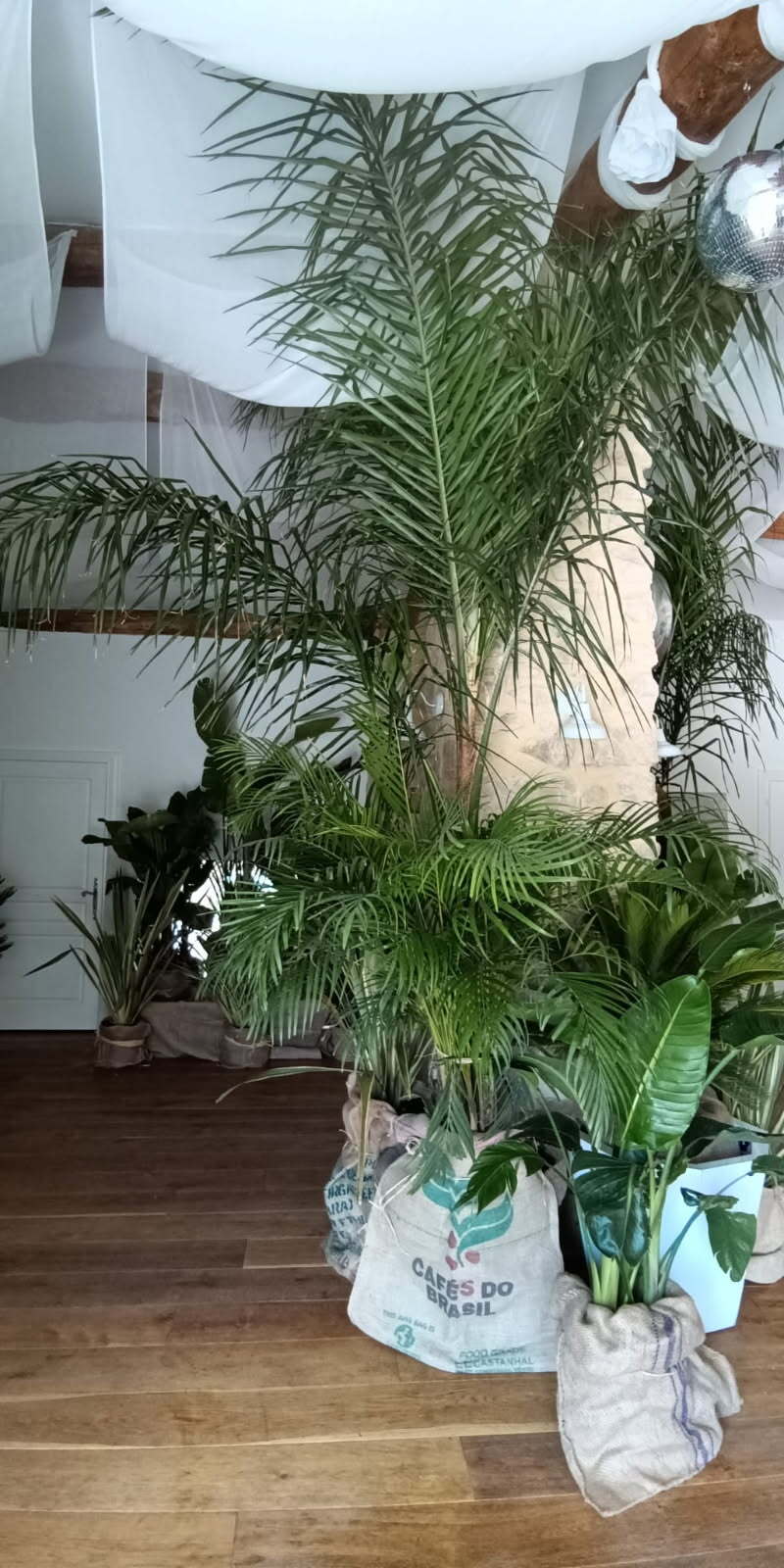 Végétalisation d'un mariage ambiance jungle chic avec des plantes en pots, fournit grâce à WePlante Vertuo