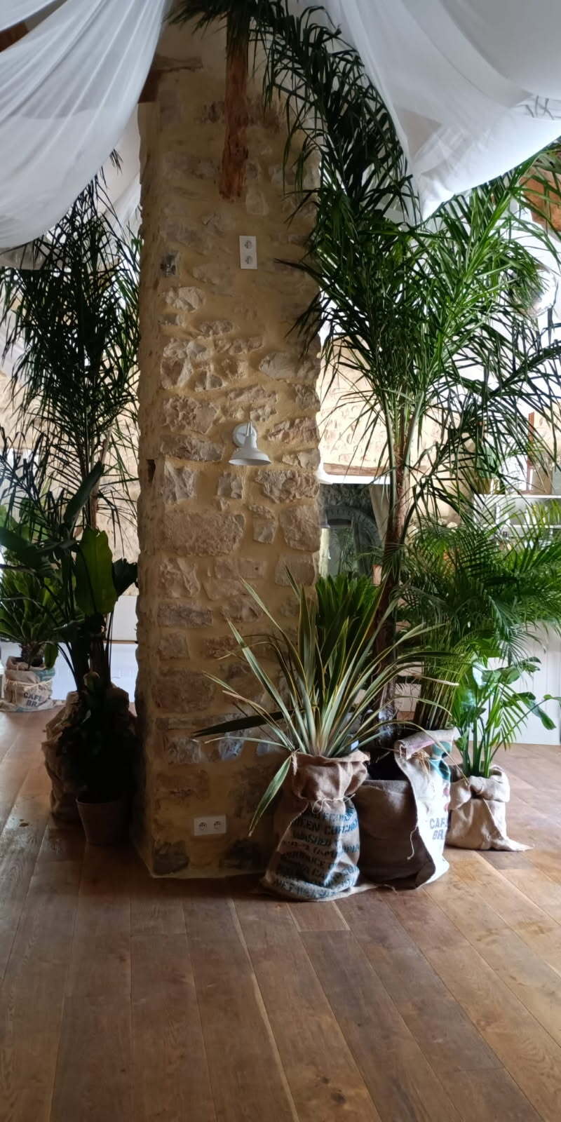 Végétalisation d'un mariage ambiance jungle chic avec des plantes en pots fournit grâce à WePlante Vertuo