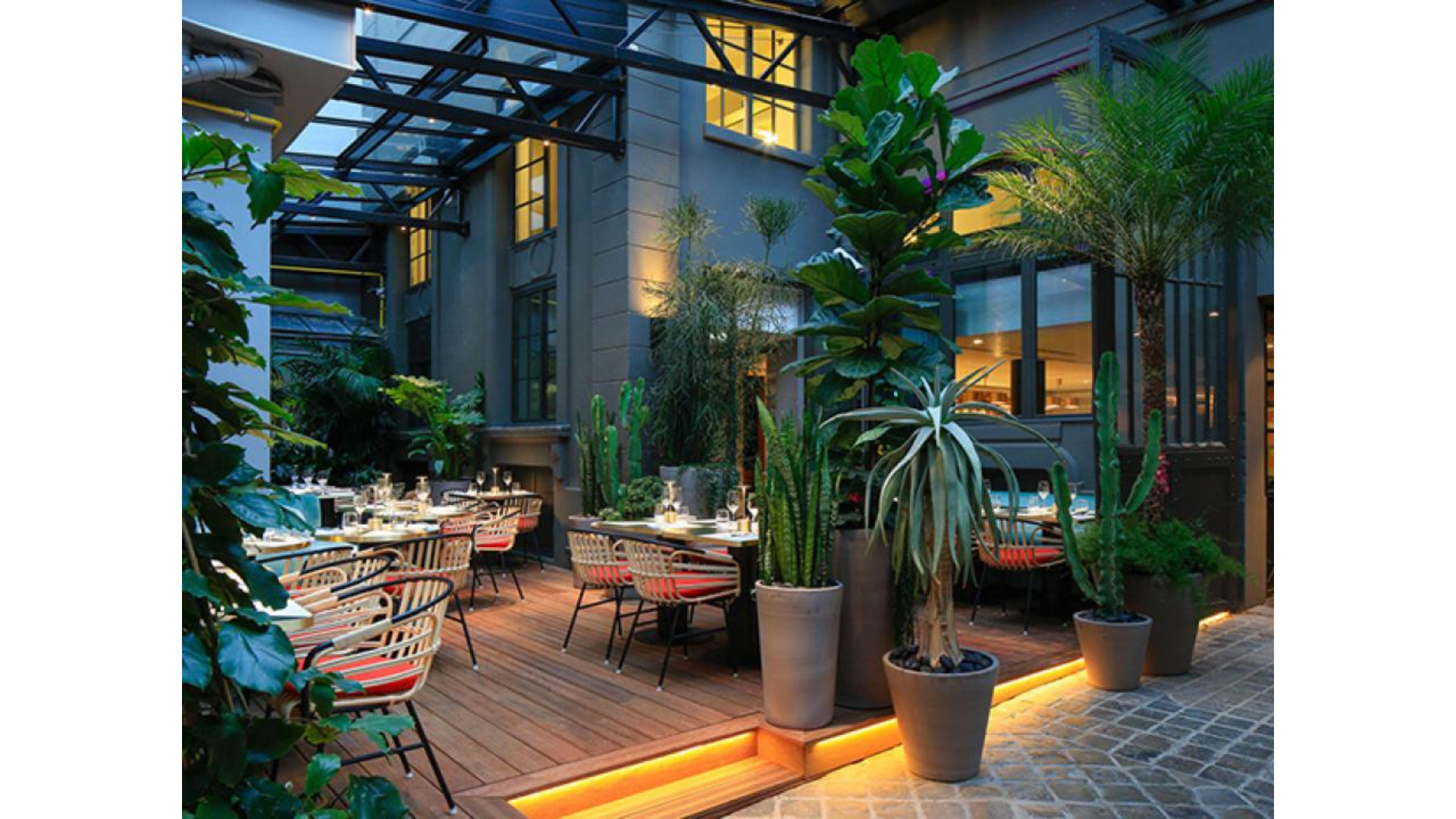 Restaurants décorer avec plusieurs plantes en pots