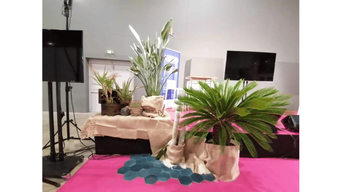 Evénement professionnel de La Place créative Montpellier décorer avec des plantes en pots