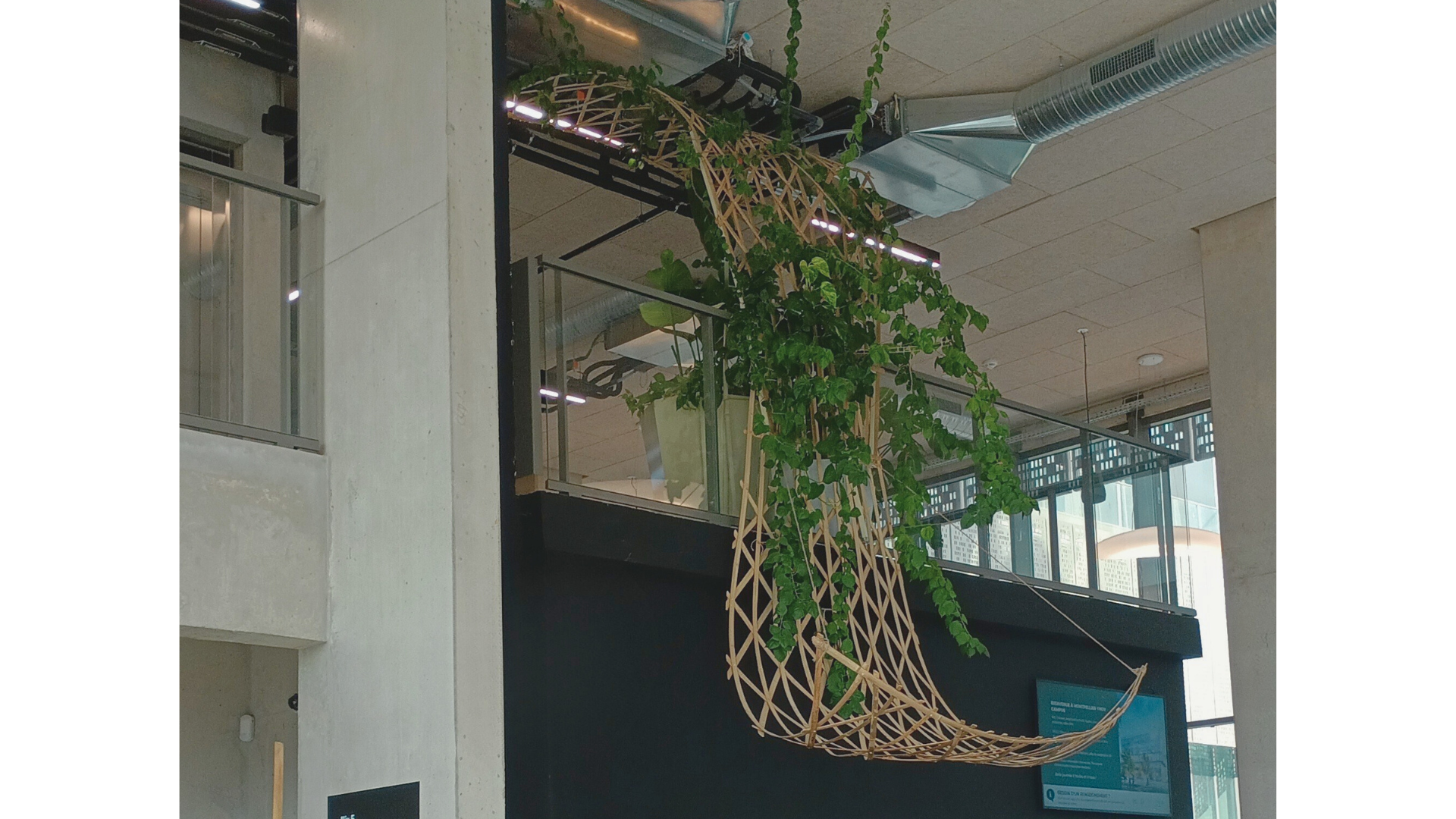 Aménagement d'espace intérieur avec WePlante Nami, une pergola végétalisé avec des plantes