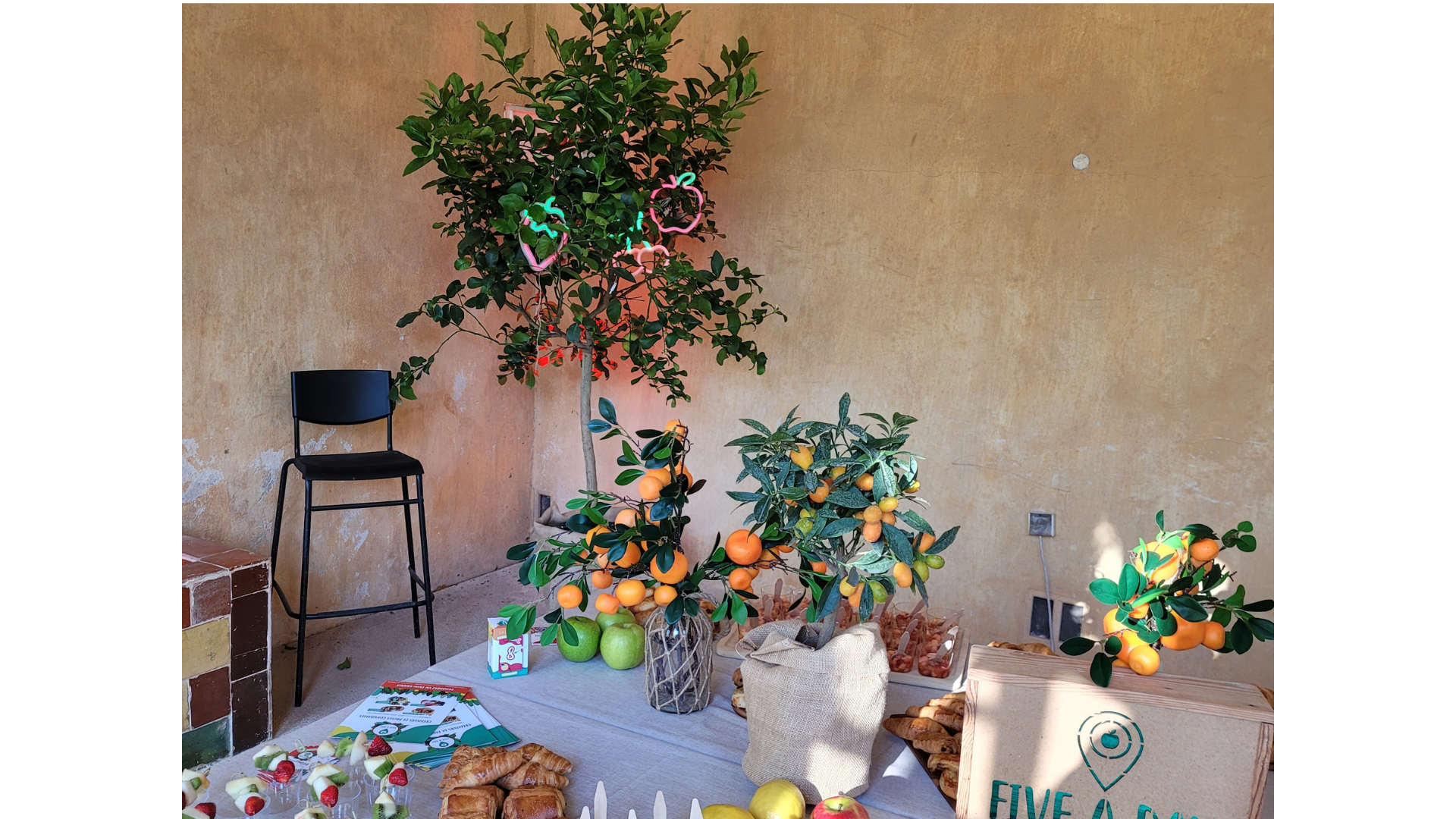 Evènement professionnel Five a Day, décoré avec des plantes en pots