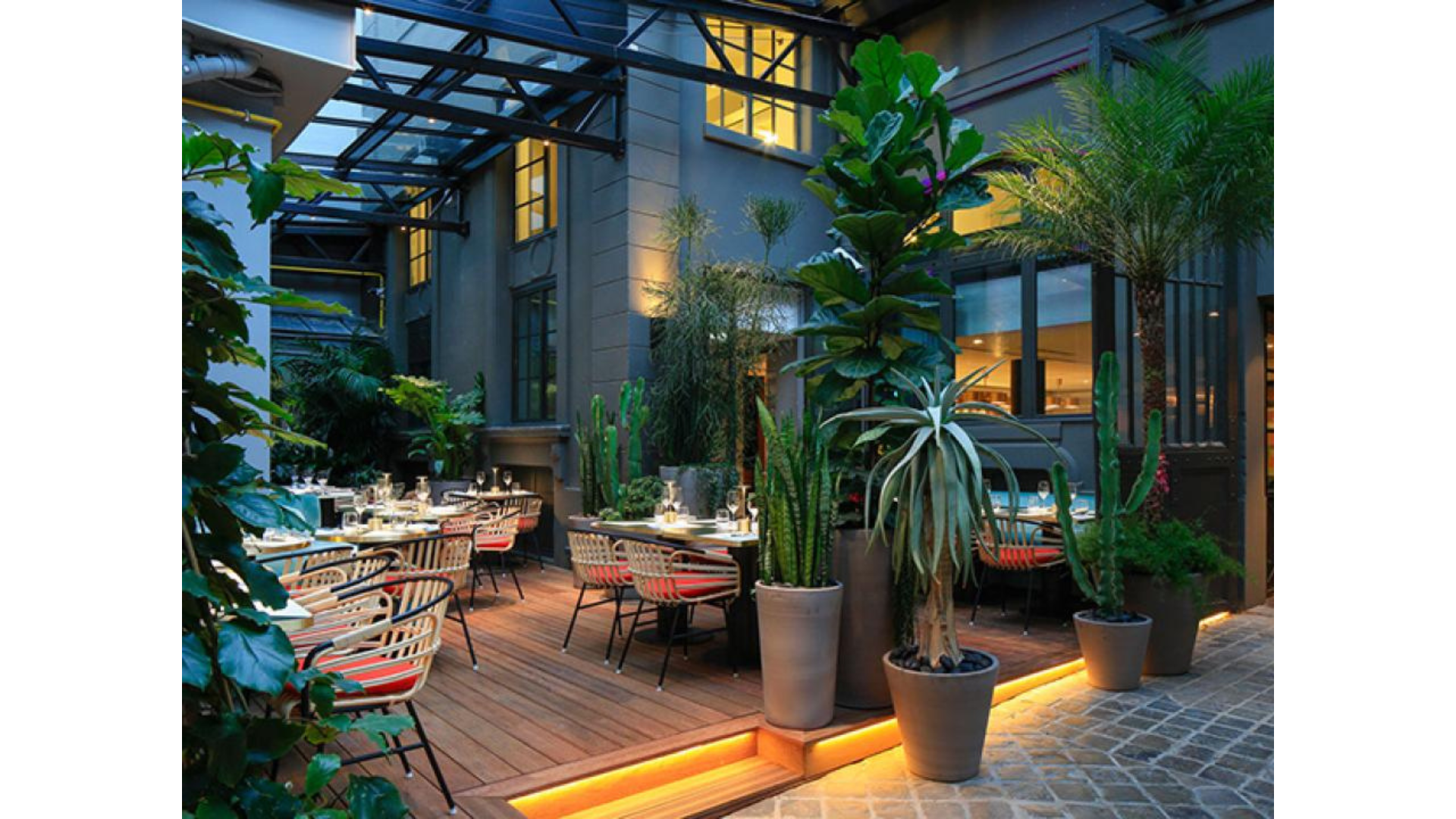Aménagement de restaurant décorer avec des plantes en pots