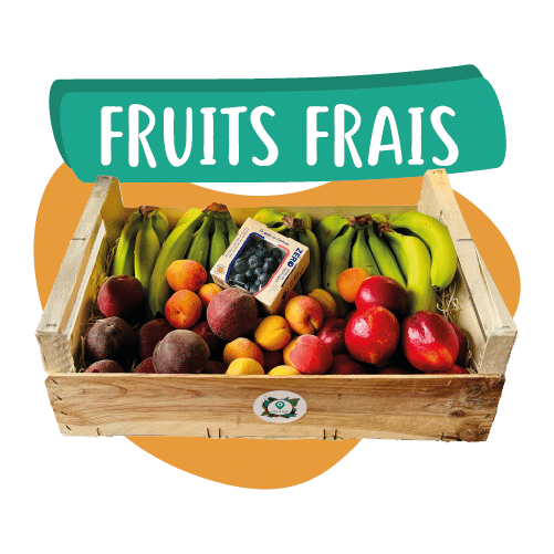 Logo Five A Day