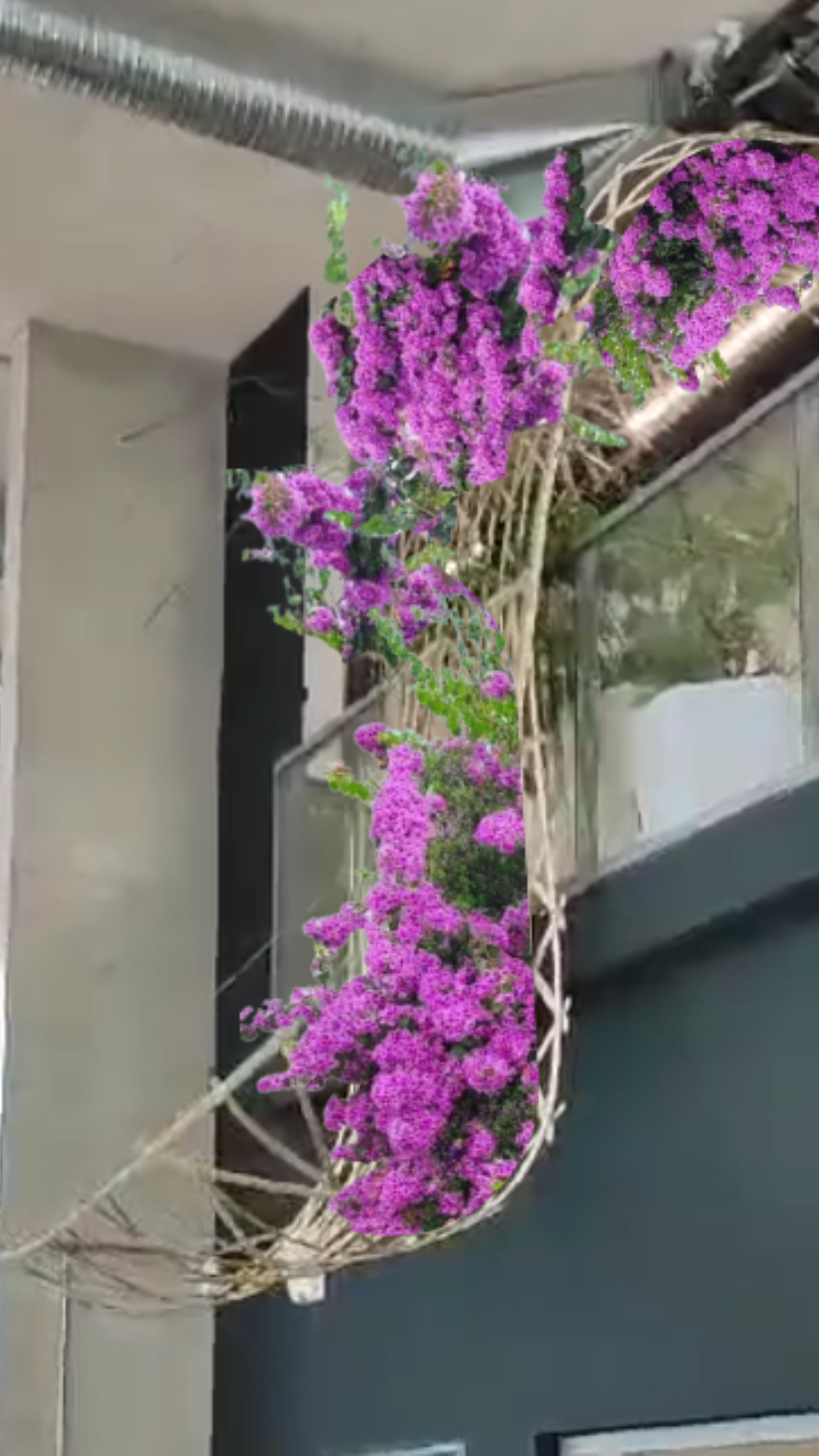 Pergola végétalisé WePlante Nami à Ynov campus Montpellier